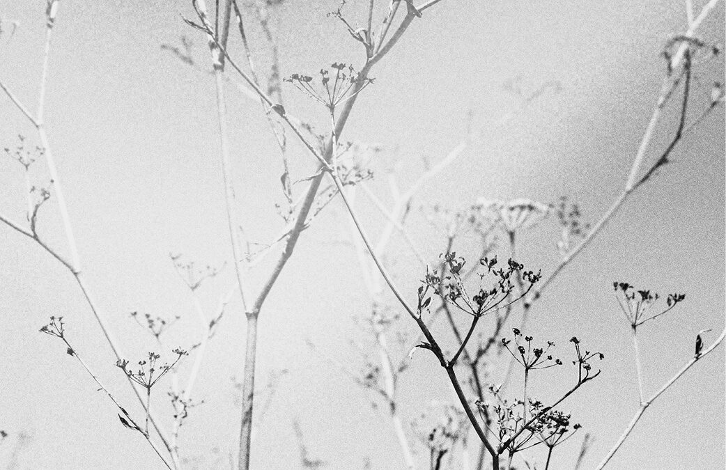 Echoes of Disruption, an MFA Exhibition of an Audio-Visual Installation by Camille Fenech